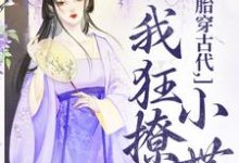 胎穿古代,我狂撩小世子小说全文哪里可以免费看?-经典文学