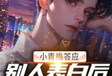 小青梅答应别人表白后，我自由了叶安秦兰在线章节免费阅读-经典文学