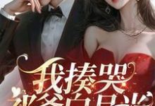 我揍哭祁爷白月光,婚戒扔他脸上小说最新更新在哪里?免费在线看-经典文学
