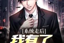 小说《系统走后，我有了亿万资产》章节免费阅读-经典文学