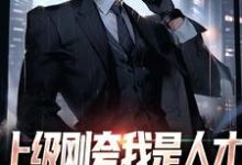 上级刚夸我是人才，后脚让我去打杂小说完结版章节免费阅读-经典文学