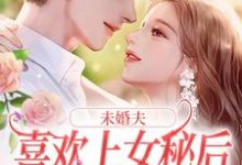 求未婚夫喜欢上女秘后,我和初恋好了小说免费资源-经典文学