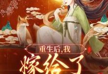 重生后，我嫁给了太子他太傅小说的免费电子版在哪里可以下载或阅读？-经典文学