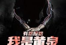 小说《有怨报怨，我是黄泉摆渡人》章节免费阅读-经典文学