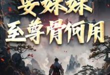 已完结小说《系统在手！要妹妹至尊骨何用》在线章节阅读-经典文学