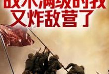 抗战:战术满级的我又炸敌营了林天尘王建堂小说在线章节免费阅读-经典文学
