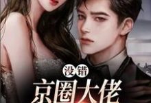 没错，京圈大佬就是没她不行西门礼臣江晚栀小说在线章节免费阅读-经典文学