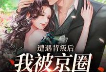 遭遇背叛后，我被京圈大佬捡回家小说，遭遇背叛后，我被京圈大佬捡回家沈星辰霍归之-经典文学