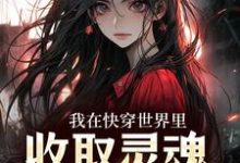 在线寻找我在快穿世界里，收取灵魂当报酬小说的无删减版本-经典文学