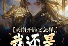 天崩开局又怎样，我还是大唐的王李佑小说免费阅读-经典文学