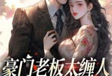 豪门老板太缠人,为她折腰为她疯免费阅读,豪门老板太缠人,为她折腰为她疯章节目录-经典文学