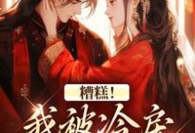 求糟糕！我被冷戾帝王缠上了小说免费资源-经典文学