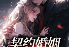 契约婚姻要作废免费阅读，契约婚姻要作废章节目录-经典文学