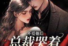 《不爱他后,总裁哭着求我收留》小说大结局免费试读 云里江时聿小说-经典文学