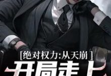 绝对权力:从天崩开局走上官途巅峰小说的无弹窗阅读体验,寻找免费阅读网站-经典文学