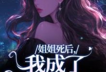 姐姐死后,我成了争夺礼品顾时念沈行洲,姐姐死后,我成了争夺礼品章节在线阅读-经典文学