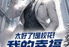 完结版《太好了！是校花！我的幸福有救了》章节阅读-经典文学