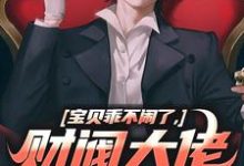宝贝乖不闹了，财阀大佬日撩夜哄这本小说在哪里可以看？哪里有免费试读章节？-经典文学