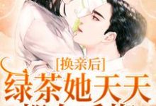 换亲后，绿茶她天天都在后悔小说无弹窗阅读的网站推荐-经典文学