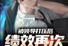被领导打压后,绩效再次被清零!小说,被领导打压后,绩效再次被清零!最新章节-经典文学