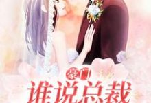 小说《豪门：谁说总裁他不近女色》章节阅读-经典文学