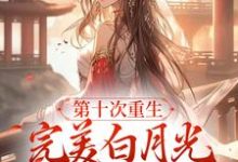 哪里能找到第十次重生,完美白月光她装傻摆烂小说的全部章节?-经典文学