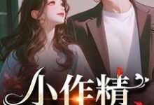 小作精,我看上你啦小说有没有完整的免费版本在线阅读?-经典文学