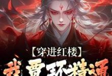 穿进红楼，我贾环精通朝堂争斗章节免费在线阅读，贾环完结版-经典文学