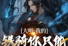 大明：我的铁骑你只能看不能借！张璟川小说在线章节免费阅读-经典文学