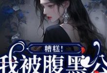 糟糕!我被腹黑公子缠上了小说,糟糕!我被腹黑公子缠上了最新章节-经典文学