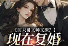 前夫哥又帅又撩?现在复婚来得及吗(安婳肖政)在线免费阅读-经典文学