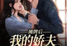 摊牌后，我的娇夫变小弟南烟傅靳司小说完结版章节在线阅读-经典文学
