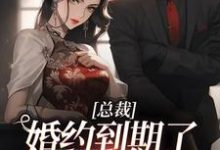 完结版《总裁，婚约到期了，麻烦请放手》在线免费阅读-经典文学