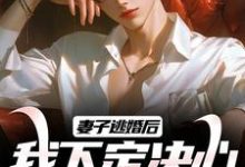 妻子逃婚后,我下定决心选了她小说免费资源,妻子逃婚后,我下定决心选了她在线阅读-经典文学