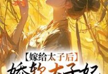 嫁给太子后，娇软太子妃藏起尖刀程婵衣小说完结版章节在线阅读-经典文学