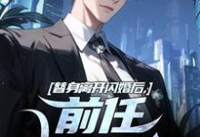 林澈秦栀小说完结版在线阅读，替身离开闪婚后，前任她后悔了免费看-经典文学