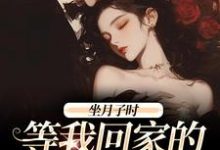 江晚月傅寒川小说坐月子时,等我回家的前夫疯了章节免费阅读-经典文学
