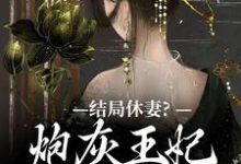 求推荐可以免费阅读结局休妻？炮灰王妃她力挽狂澜小说的网站-经典文学