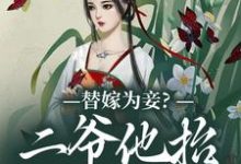 完结版《替嫁为妾？二爷他抬我为妻》免费阅读-经典文学