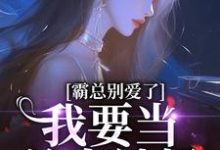 宋稚傅律小说完结版在线阅读，霸总别爱了，我要当单身辣妈免费看-经典文学