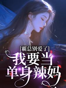 宋稚傅律小说完结版在线阅读，霸总别爱了，我要当单身辣妈免费看