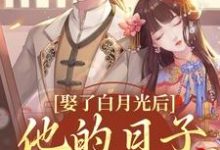 寻找娶了白月光后，他的日子鸡飞狗跳小说的最新更新章节-经典文学