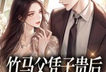 竹马父凭子贵后，对我霸道宣爱纪柔贺谌小说完结版章节在线阅读-经典文学