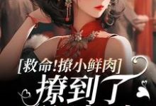 已完结小说《救命!撩小鲜肉撩到了顶级权贵!》在线章节阅读-经典文学