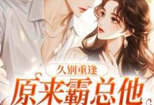 小说《久别重逢：原来霸总他是纯爱战神》章节阅读-经典文学