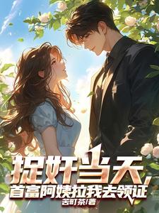 《捉奸当天，首富阿姨拉我去领证》小说大结局免费试读 叶安小说