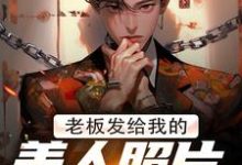 老板发给我的美人照片是老板娘小说无弹窗阅读的网站推荐-经典文学