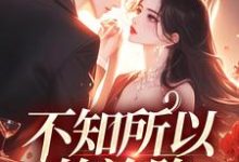 不知所以的沦陷小说的免费电子版在哪里可以下载或阅读？-经典文学