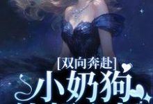 《双向奔赴,小奶狗他超心机》小说章节列表免费试读,姜以宁贺驰小说在线阅读-经典文学
