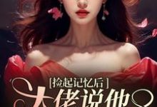 小说《捡起记忆后,大佬说他要娶黑莲花》章节免费阅读-经典文学